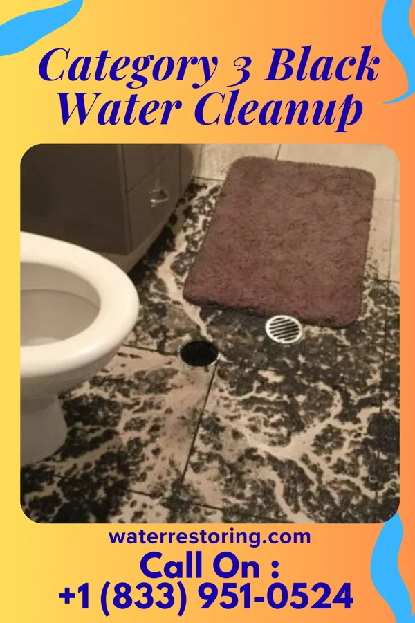Category 3 Black Water Cleanup in St. Louis, MO