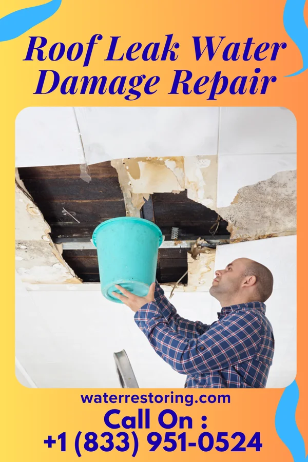Roof Leak Water Damage Repair in St. Louis, MO